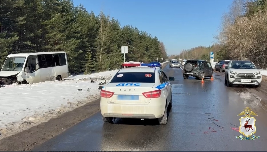 Появились подробности ДТП с микроавтобусом в Нижегородской области - фото 1