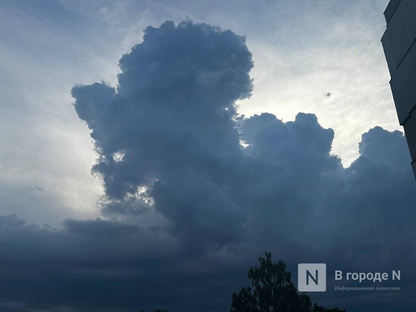Мощные ливни накроют Нижегородскую область 4-5 августа - фото 1