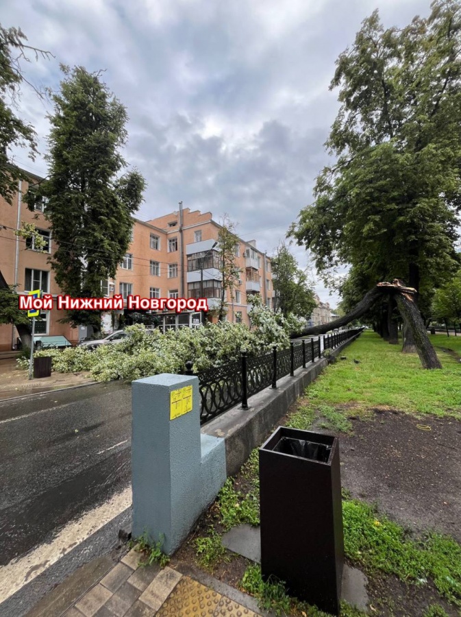 Улицу Звездинку перекрыли в Нижнем Новгороде из-за упавшего дерева - фото 1
