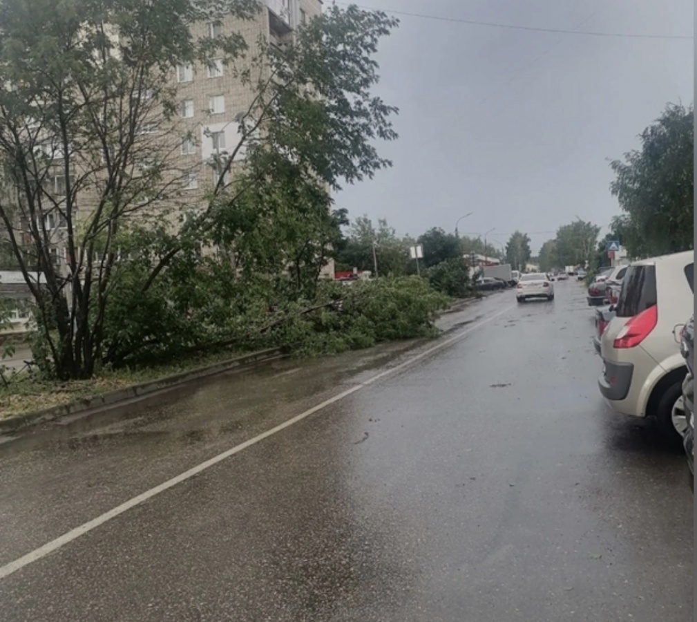 Град и поваленные деревья: непогода обрушилась на Арзамас 8 июля |  08.07.2023 | Нижний Новгород - БезФормата