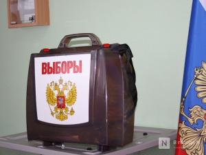Экс-сотрудник нижегородской ФСИН обогатился за счет выборов