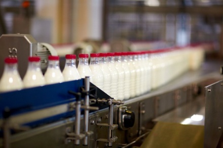 Из российских магазинов может временно исчезнуть молоко
