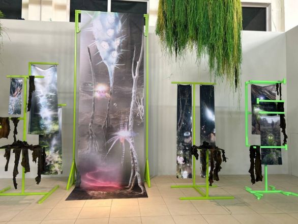 «Кожа Земли»: в Нижнем Новгороде проходит первая международная ЭкоБиеннале - фото 5