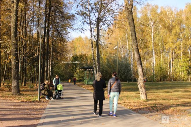 Фоторепортаж: золотая осень в Нижнем Новгороде - фото 61