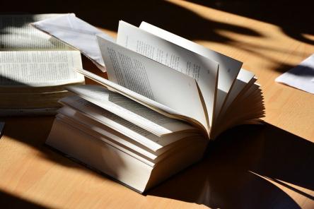 7 слов, которые мы произносим неправильно во множественном числе