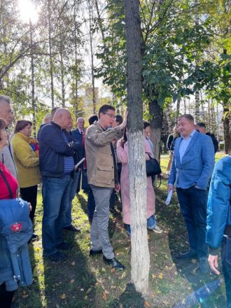 38 деревьев вырубят при строительстве газопровода в нижегородских Щербинках - фото 1