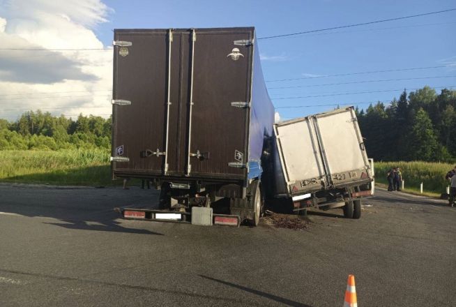 Массовое ДТП с погибшим в Володарском округе обернулось уголовным делом - фото 3