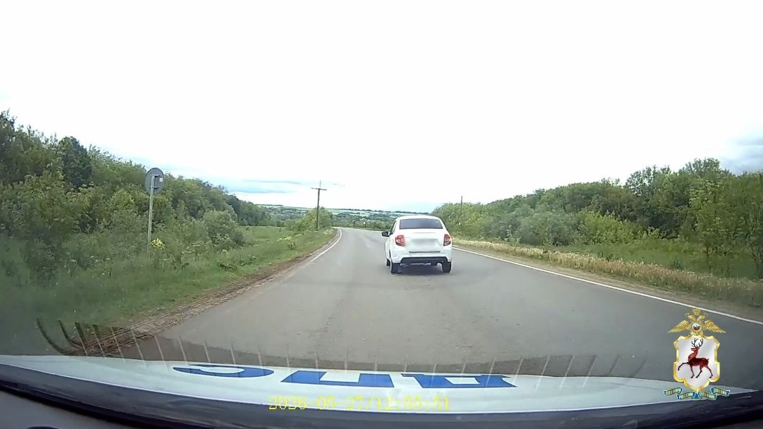Погоню со стрельбой устроили полицейские в Нижегородской области - фото 1