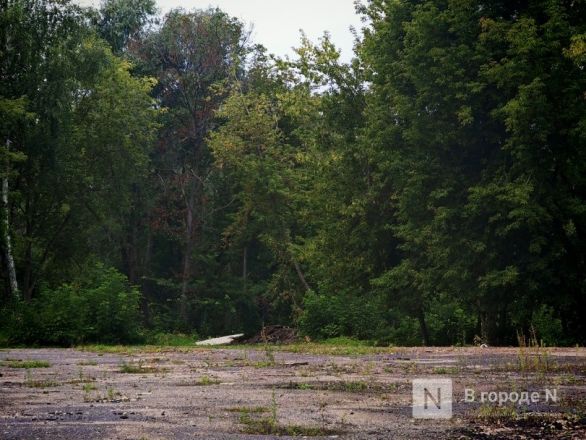 Вторая пошла: как выглядят места, где появится новая канатная дорога в Нижнем Новгороде - фото 26
