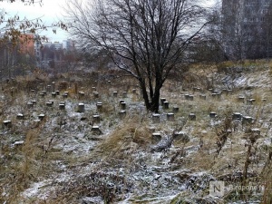 ЖК на краю Лопатинского оврага планирует построить ГК «Каскад»