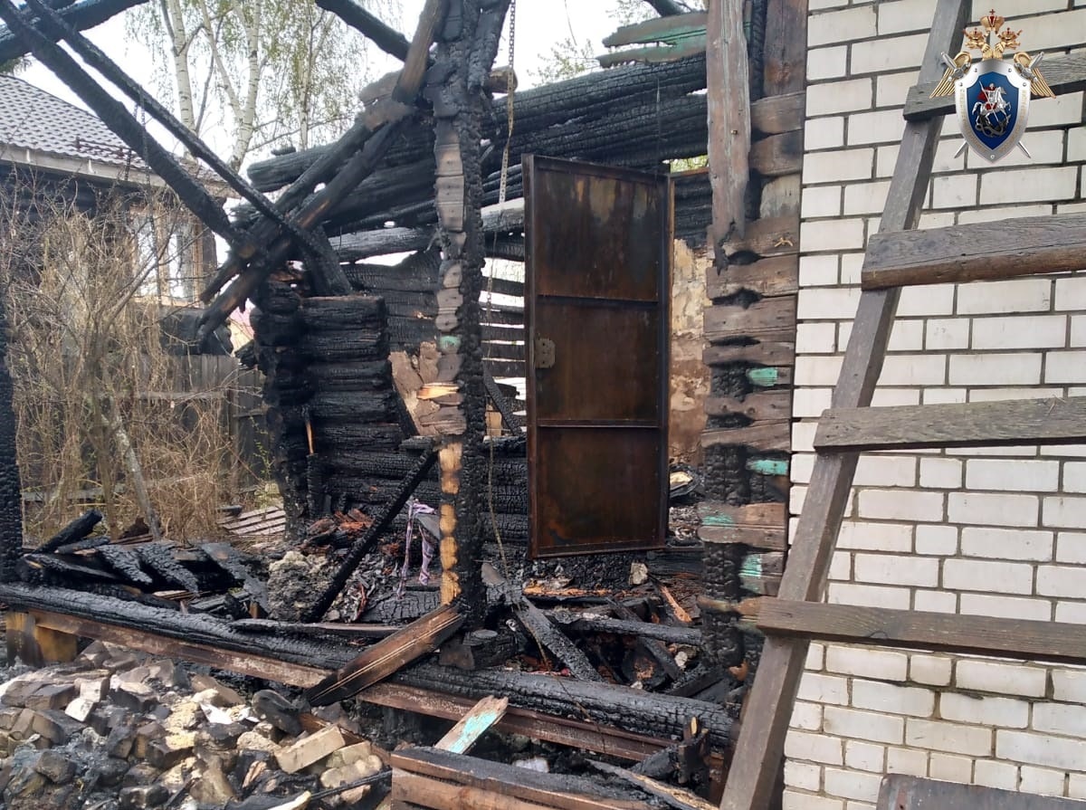 Жителя Богородска подозревают в убийстве пенсионерки и поджоге ее дома - фото 3