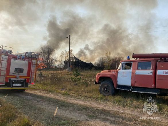 Опубликованы  фото с места пожара в Лукояновском округе - фото 2