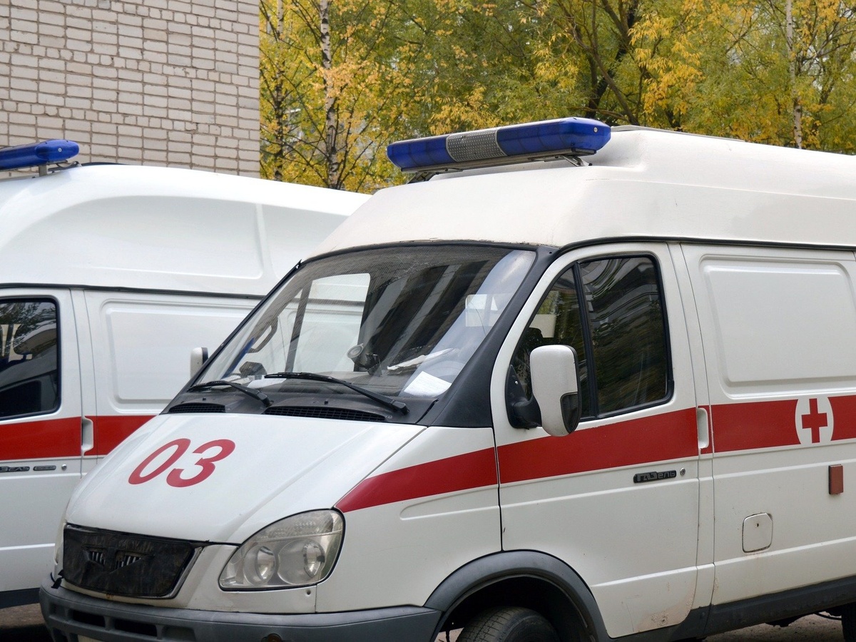 Пешеход погиб из-за наезда автомобиля на трассе в Дзержинске - фото 1