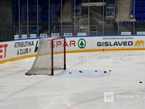 Ледозаливочные машины для арены на Стрелке обойдутся в 74 млн рублей - фото 1