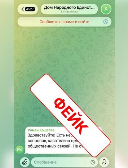 Мошенники пишут нижегородцам с фейкового аккаунта главы Дома народного единства - фото 1