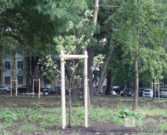 Обновленная площадь и кормушки для птиц: что изменилось в Приокском районе - фото 28
