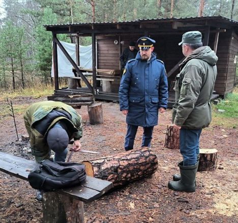 Незаконные постройки нашли в нижегородском национальном парке - фото 2