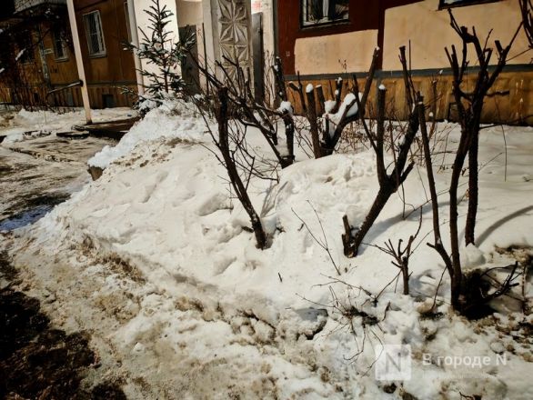 Фоторепортаж: как чистят дороги в Нижнем Новгороде после мощных снегопадов - фото 12