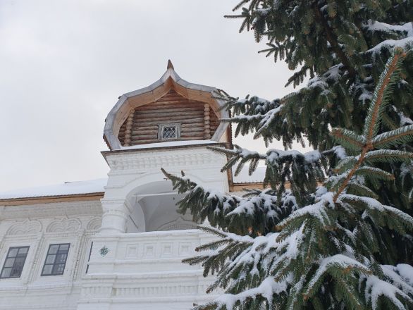 Заснеженные парки и &laquo;пряничные&raquo; домики: что посмотреть в Нижнем Новгороде зимой - фото 77