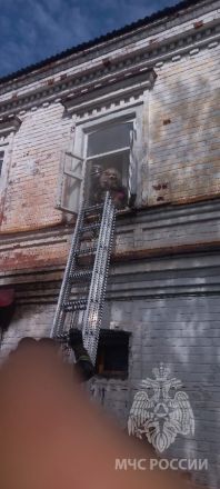 Нижегородские пожарные спасли двух собак из горящей квартиры - фото 1