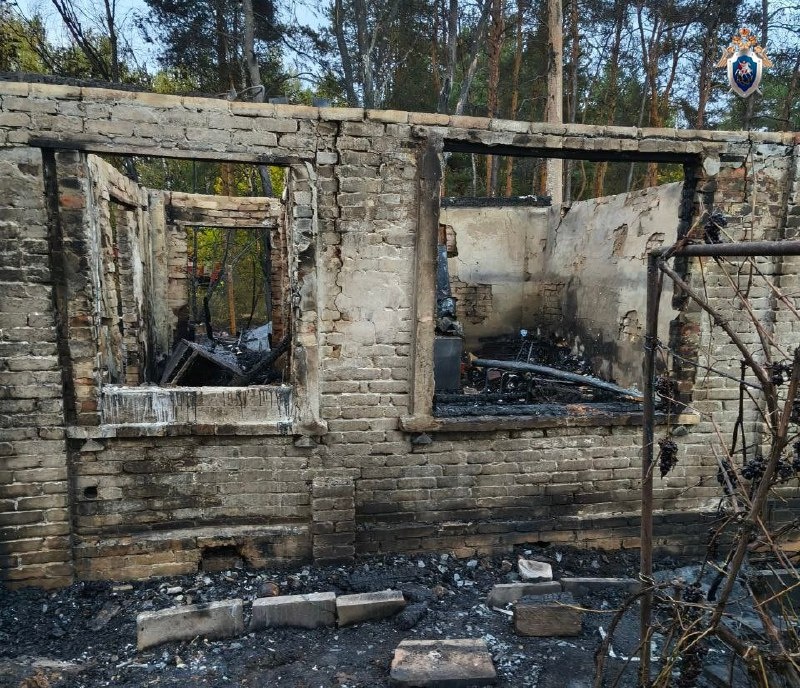 СК начал проверку после смертельного пожара в Нижнем Новгороде  - фото 1