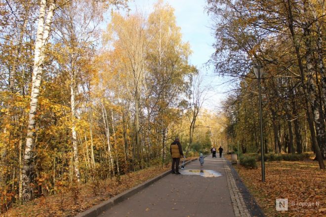 Фоторепортаж: золотая осень в Нижнем Новгороде - фото 51