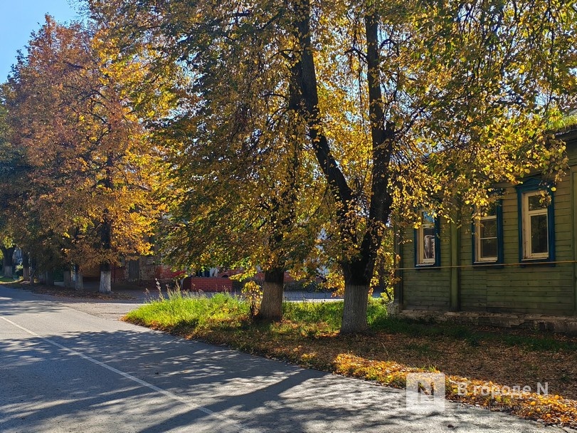 Тишина и сказочные виды: репортаж из самого маленького города в Нижегородской области - фото 9