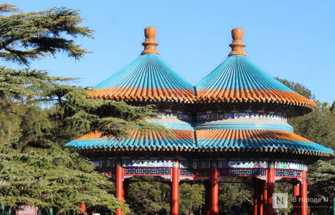 Великая стена и проблемы с интернетом: нижегородка рассказала о незабываемом путешествии в Китай - фото 69