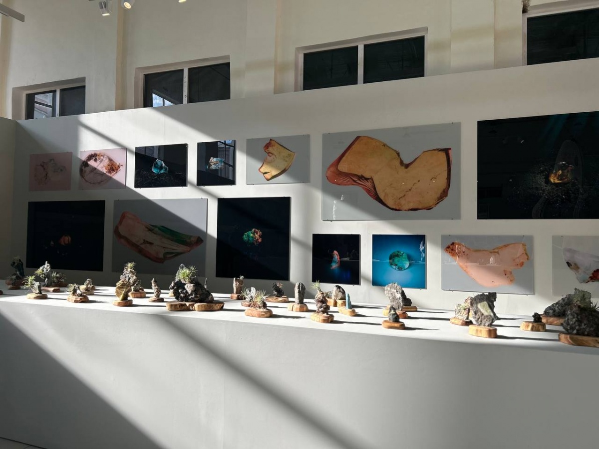 «Кожа Земли»: в Нижнем Новгороде проходит первая международная ЭкоБиеннале - фото 1