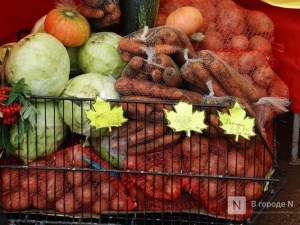Почти 5000 нижегородских школьников-льготников получили бесплатные продуктовые наборы