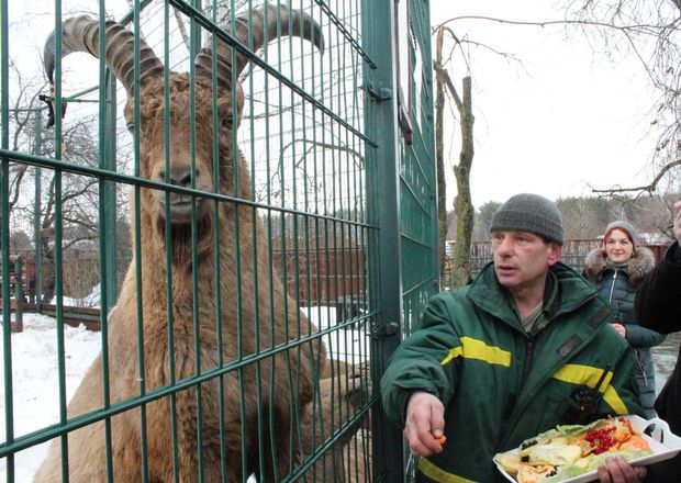 Звериная Масленица: обитателей нижегородского зоопарка угостили блинами - фото 16