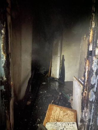 Три человека погибли на пожаре под Бором - фото 5