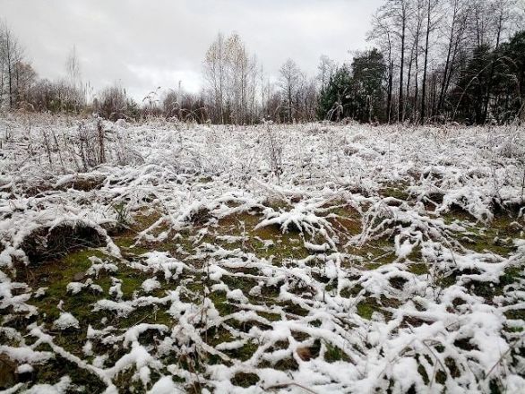 Нижегородцы делятся фотографиями первого снега и лепят снеговиков - фото 8