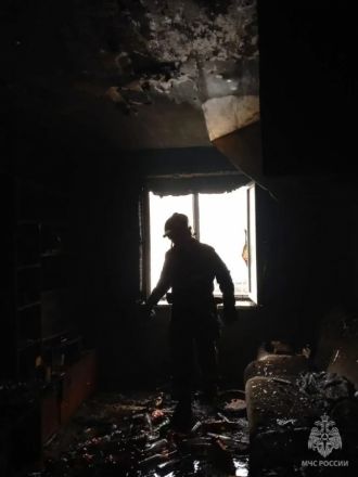 Пожар с погибшими случился в многоквартирном доме в Нижнем Новгороде - фото 1