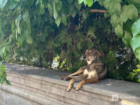 Автостоп, монастыри, кебаб: нижегородка съездила в тур по Армении и Грузии - фото 66