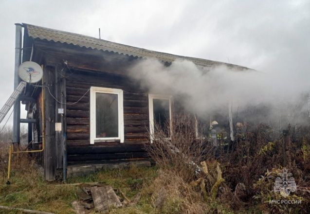 Мужчина погиб на крупном пожаре в частном доме в Нижегородской области - фото 1